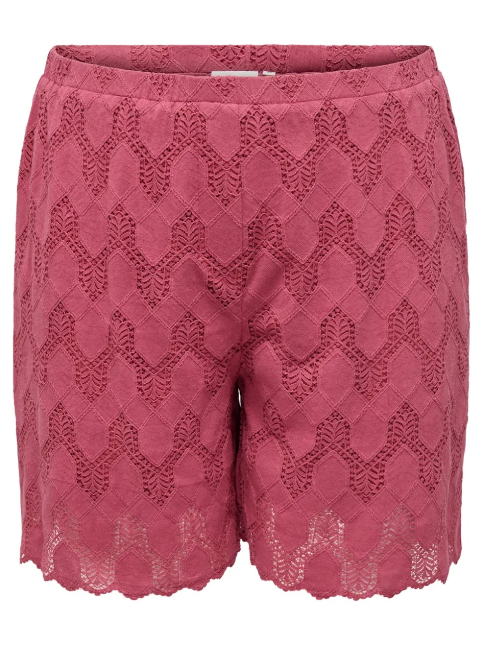 CARCLEANOR Normal passform Shorts