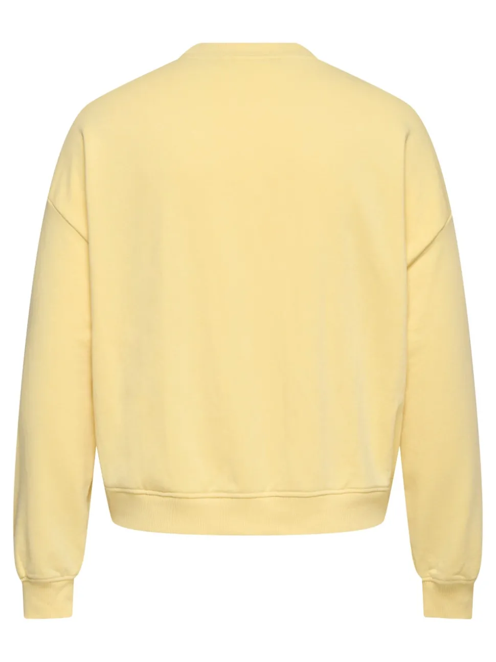 CARSANDY Sweatshirt