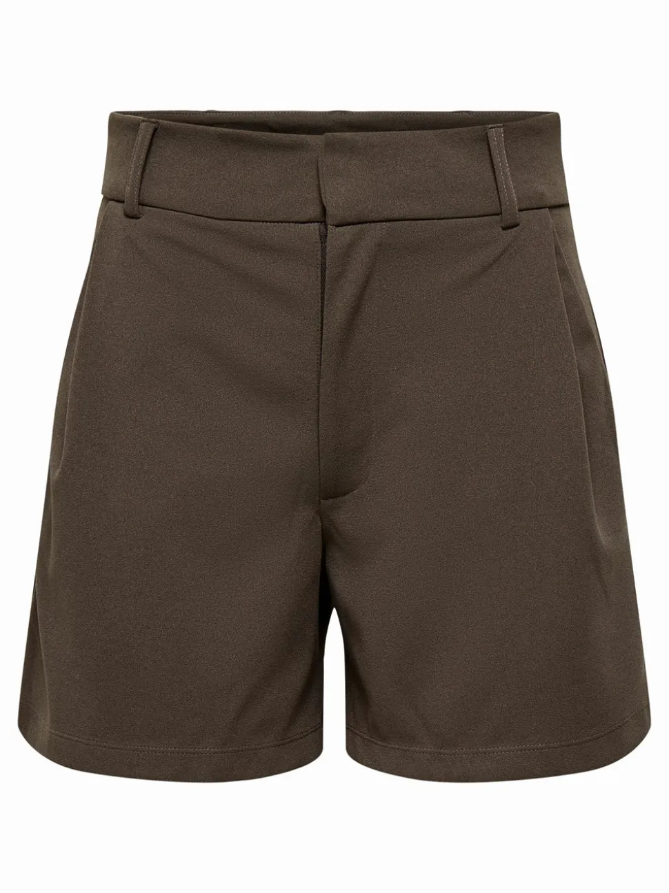 JDYGEGGO Normal passform Shorts