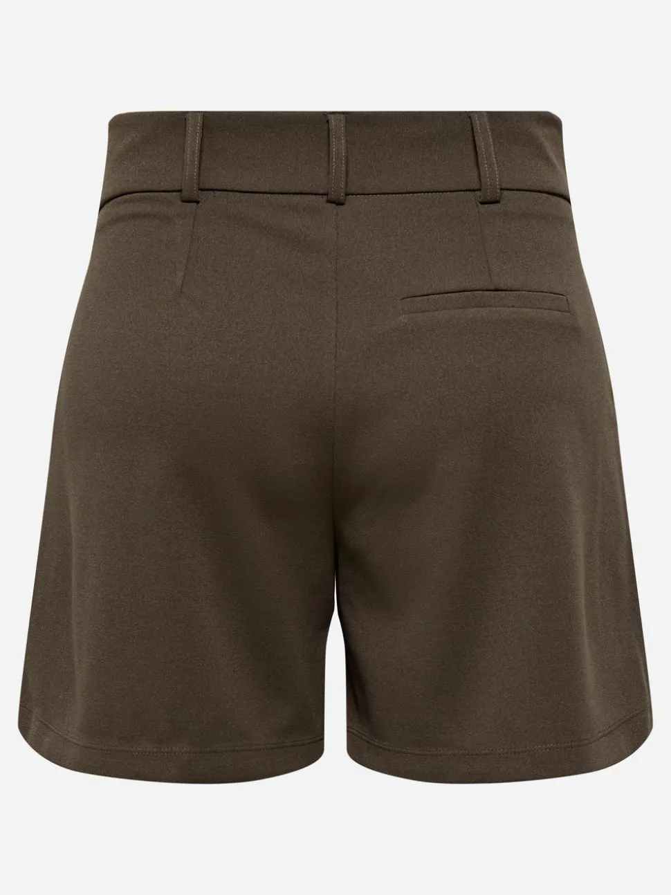 JDYGEGGO Normal passform Shorts