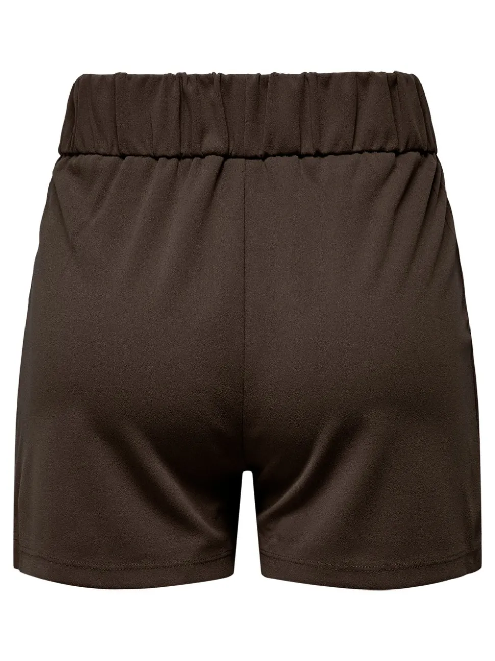 JDYGEGGO Normal passform Shorts