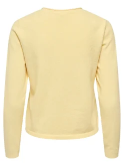 ONLLOYAL Stickad tröja