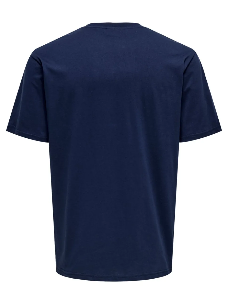 ONSDAWSON T-shirt